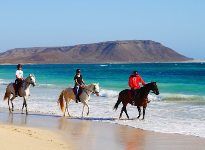 Sal Excursions ; Full or Half Day. Full or Half Day Luxury Yacht Trip,shark bay watching, salinas tour, trackking