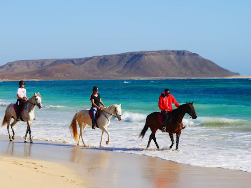 Sal Excursions ; Full or Half Day. Full or Half Day Luxury Yacht Trip,shark bay watching, salinas tour, trackking