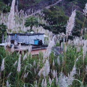 Santo Antao Island: discovering the classic trails - SodadeTour.com