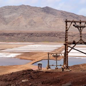 Sal Island: Private Tour to Shark Watching and Salt Lake - SodadeTour.com