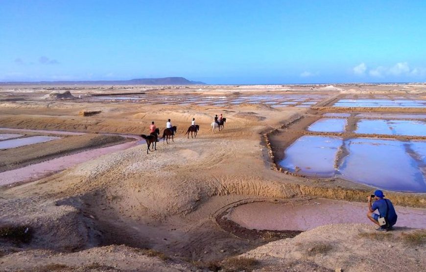 Sal island: horse riding excursion 1 hour