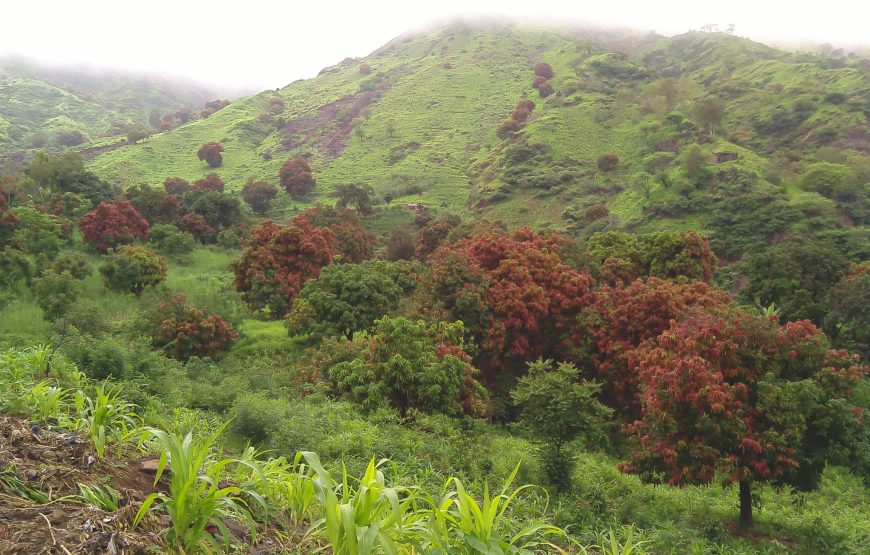 Santo Antao island: hike Pinhao – Lombo Branco – Sinagoga