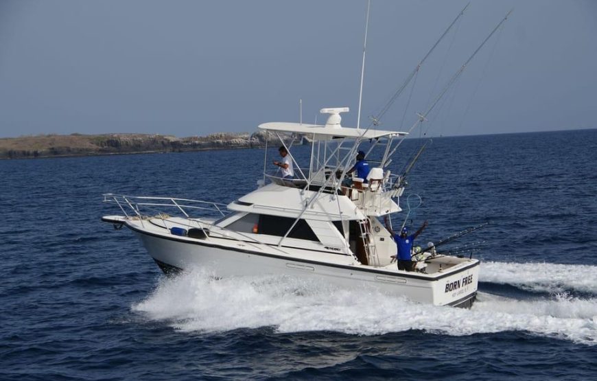 Sao Vicente island: sport fishing Full-day