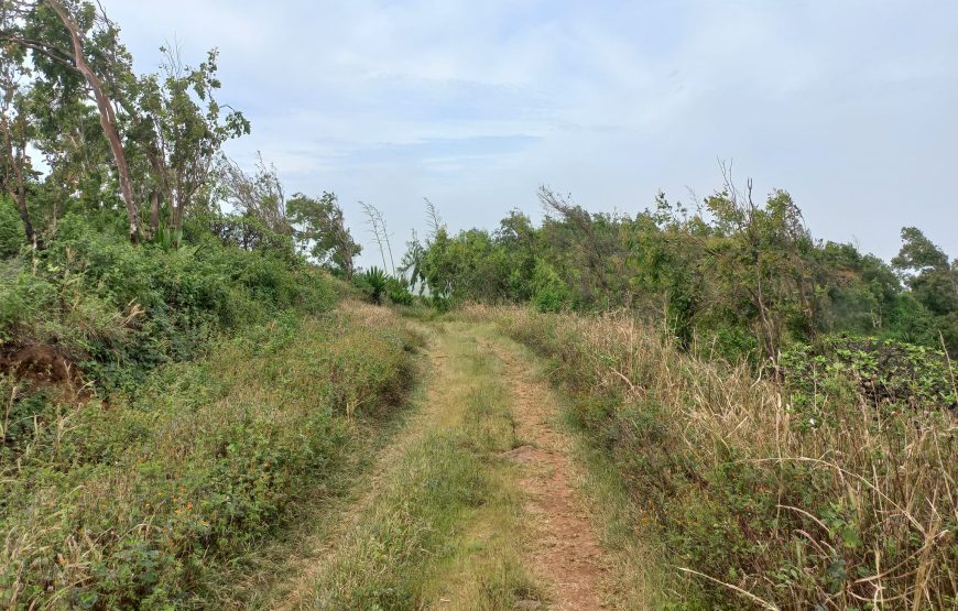 Sao Vicente island: Hike Monte Verde