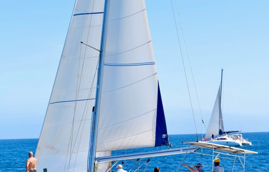 Sal island: Sailing Yacht Full Day Trip