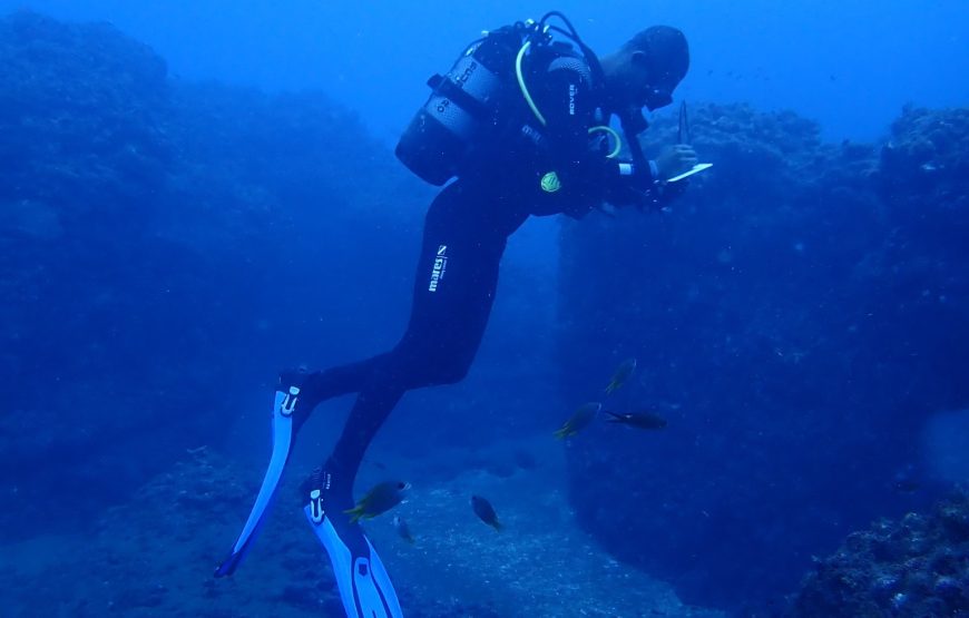 Sal island: Revision Diving Course with 2 Guided Dives