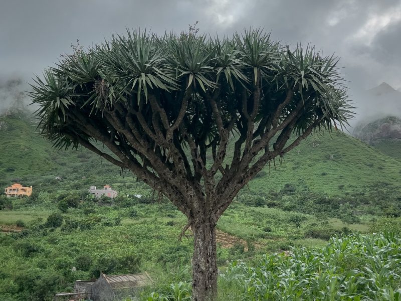 Experiência em Cabo Verde