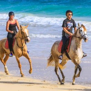 Sal island: horse riding excursion 1 hour - SodadeTour.com