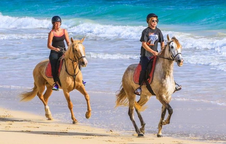 Sal island: horse riding excursion 1 hour