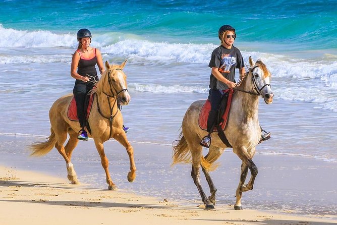 Sal island: horse riding excursion 1 hour - SodadeTour.com