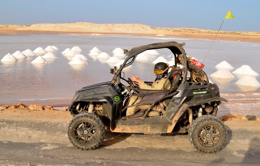 Sal: Desert adventure in a 500cc  buggy