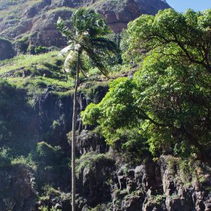 Santo Antao:Full-day walk through the Ribeira da Torre valley - SodadeTour.com