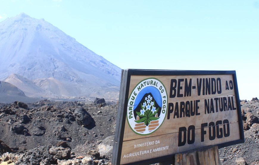 Fogo Island: day trip to the coffee plantation and natural pools