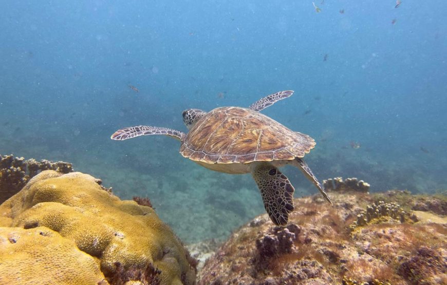 Santa Maria: Snorkeling Tour