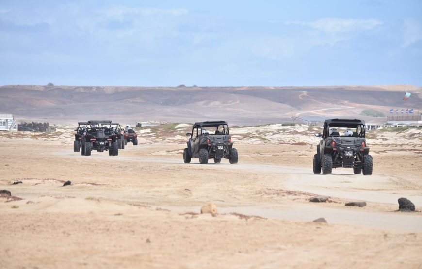 Sal: Desert adventure in a 500cc  buggy