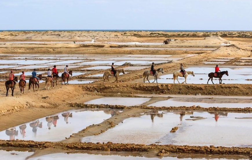 Sal island: horse riding excursion 1 hour