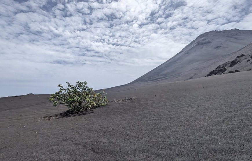 Fogo Island: Hike to the peak of the volcano