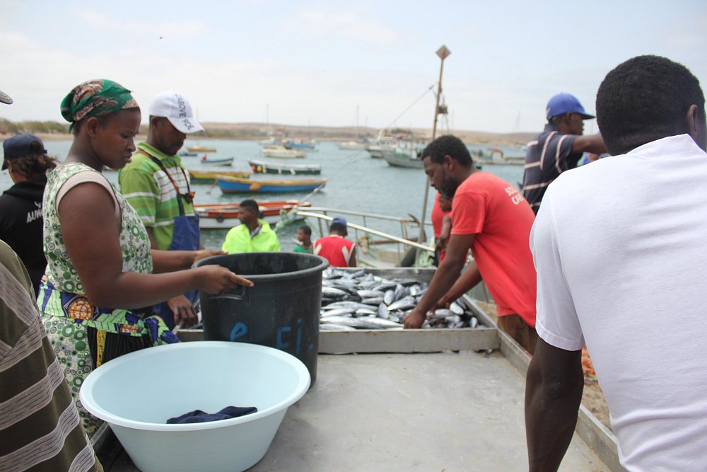 Palmeira, Sal Island: A Charming Fishing Village