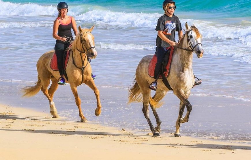 Sal island: horse riding excursion 1 hour