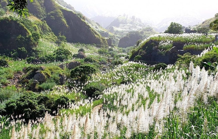 Santo Antao: Hike Lagoa to Caibros