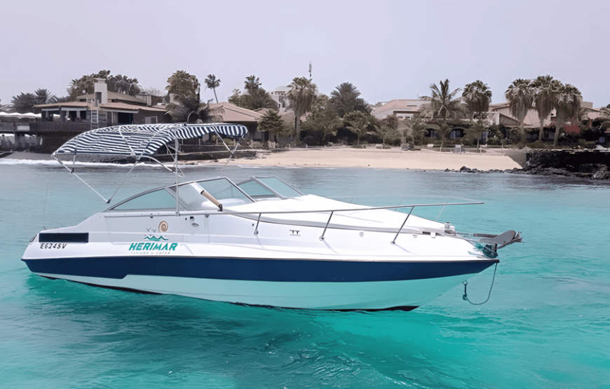 Sal island: Speedboat trips