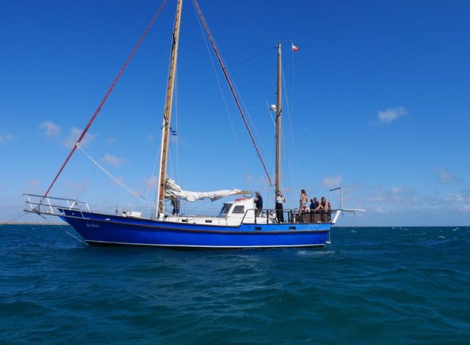 Sal Excursions ; Full or Half Day. Full or Half Day Luxury Yacht Trip,shark bay watching, salinas tour, trackking