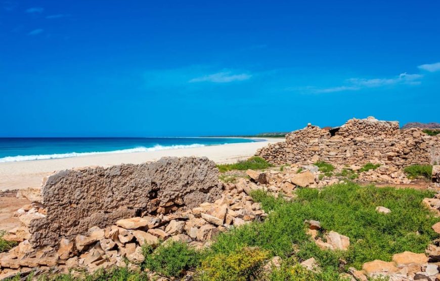 Boavista island:Desert & North Safari