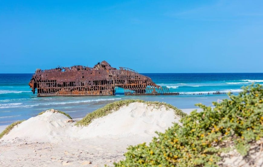 Boavista: Green Turtle and Shark Bay: Sandboarding Tour and Tasting