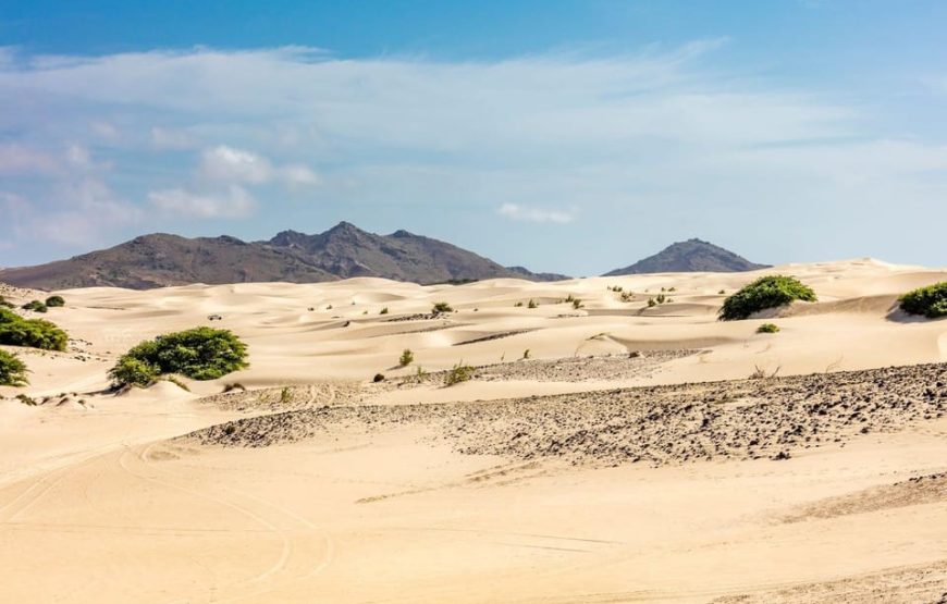 Boavista island:Desert & North Safari