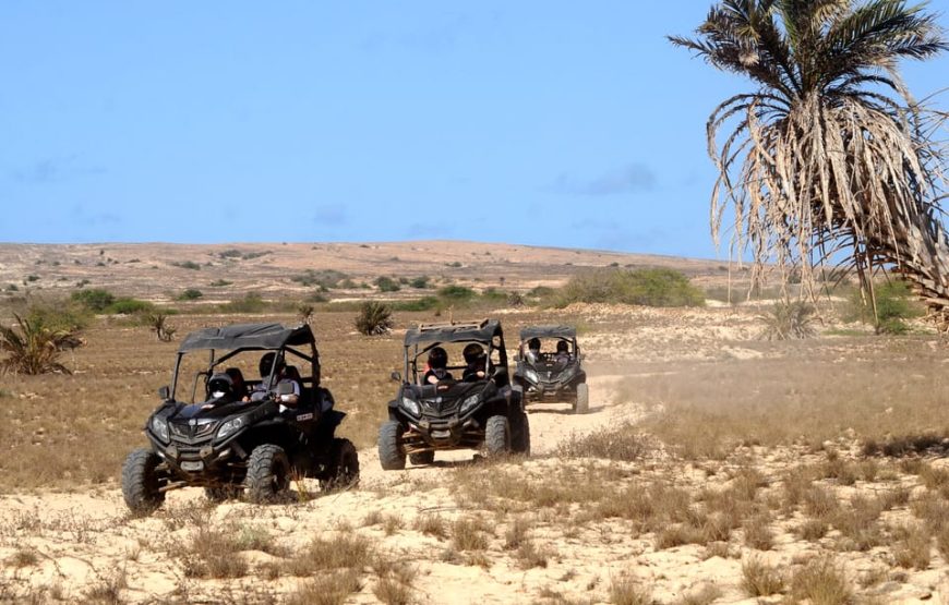 Boa Vista Island: Sal Rei 4WD Buggy Adventure