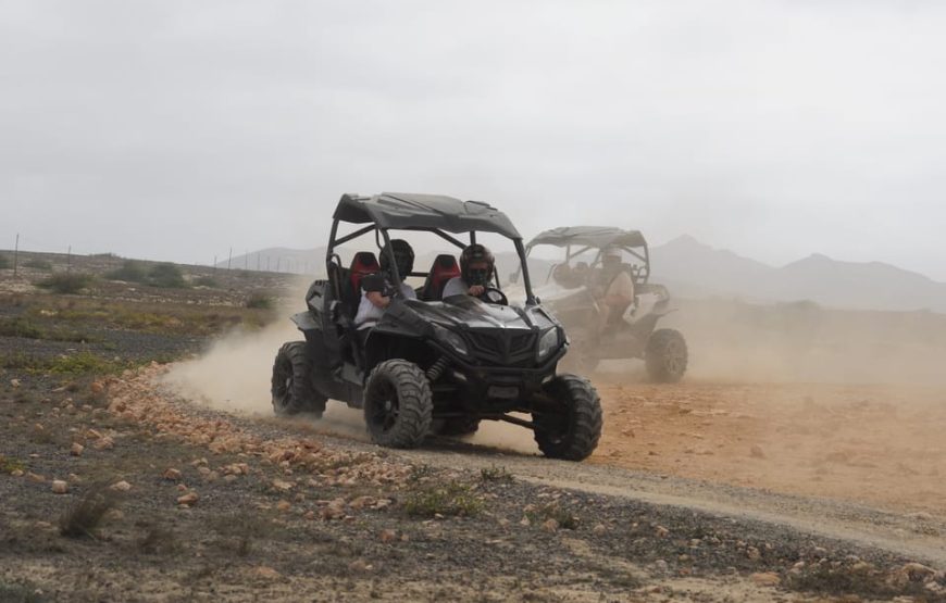 Boa Vista Island: Sal Rei 4WD Buggy Adventure