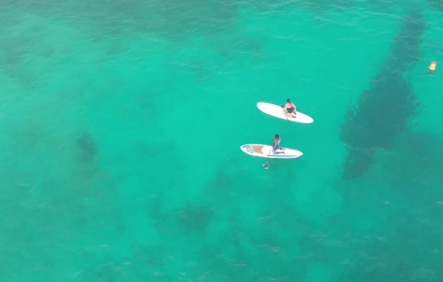 Sal island: Santa Maria: stand-up paddle tour