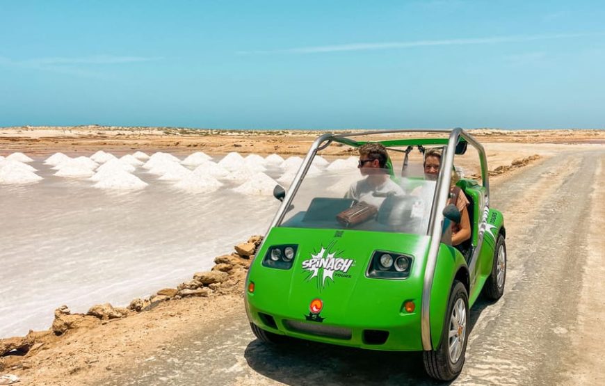 Sal island: Electric spinach car hire for half day