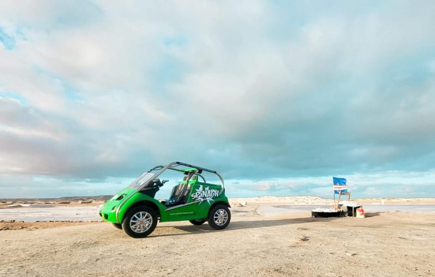 Sal island: Electric spinach car hire for half day