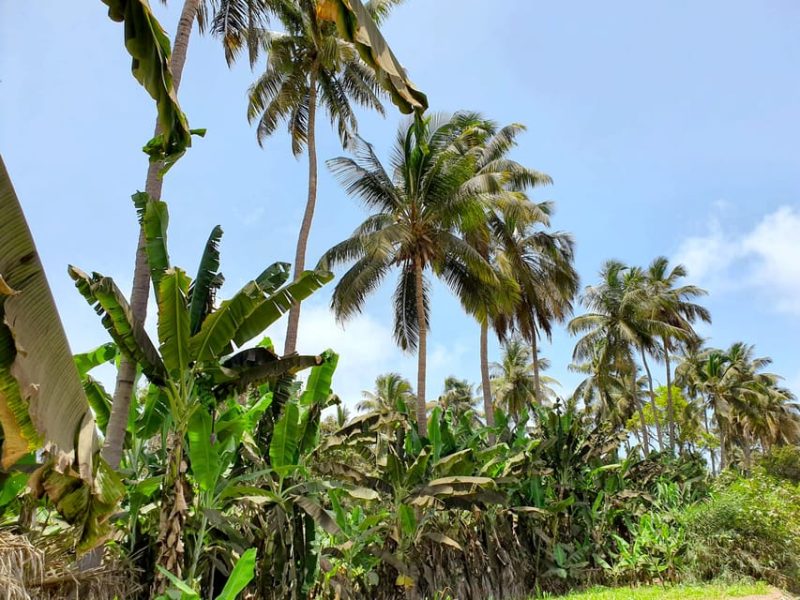 Cabo Verde experience