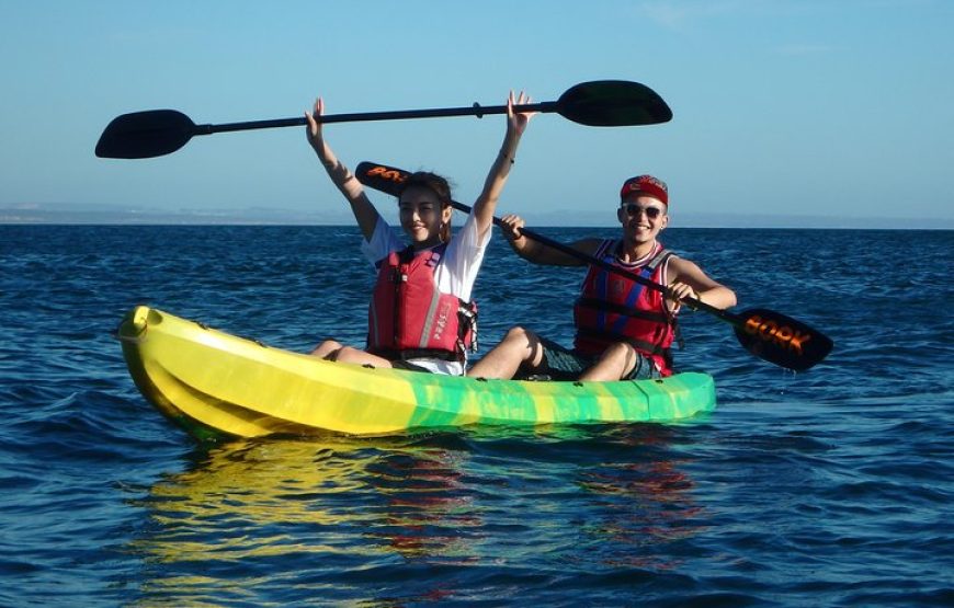 Sal island: kayak tour with snorkeling