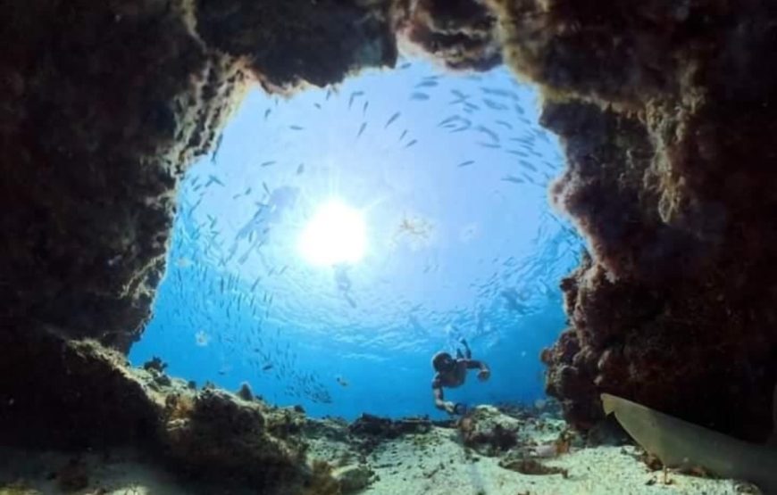 Sal island: Scuba Diving Package with 6 Dives