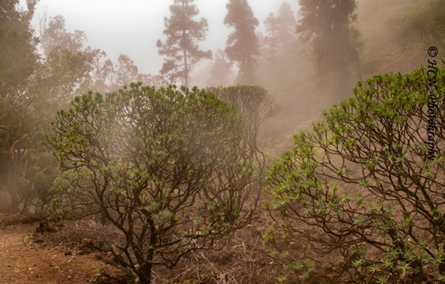 São Nicolau: Hike Fajã – Covoada – Fajã