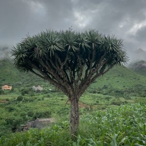 São Nicolau: hike Tarrafal to Praia D'Boche de Rotcha - SodadeTour.com