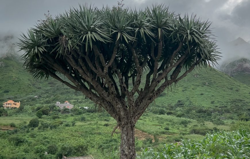 São Nicolau: hike Tarrafal to Praia D’Boche de Rotcha