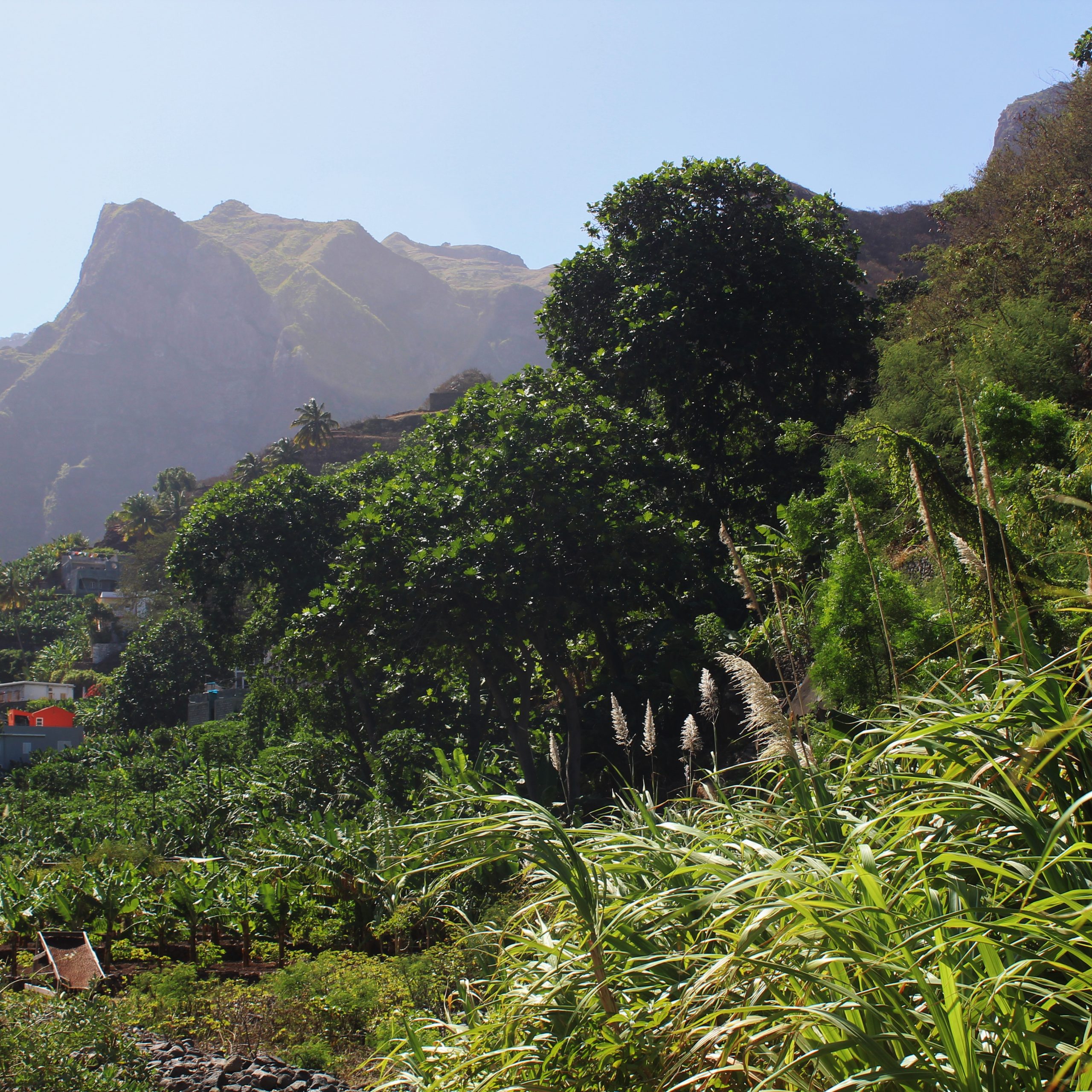 Day3 - ILHA DE SANTO ANTÃO: COASTAL PATH AND FORGOTTEN VILLAGES