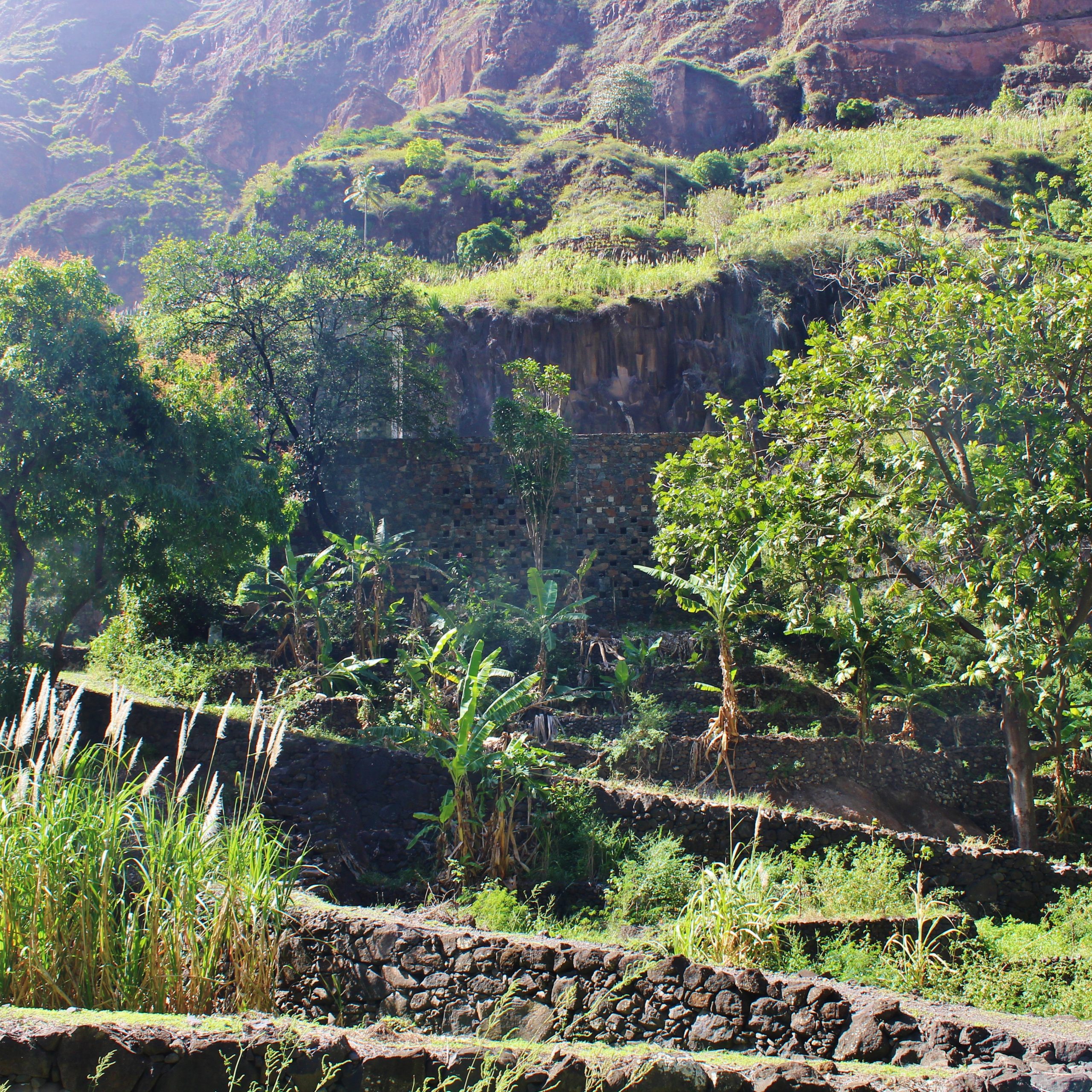 Day 4 - ILHA DE SANTO ANTÃO: VISIT EASTERN PLATEAU AND CULTIVATED VALLEYS - ARID CENTRE OF THE ISLAND