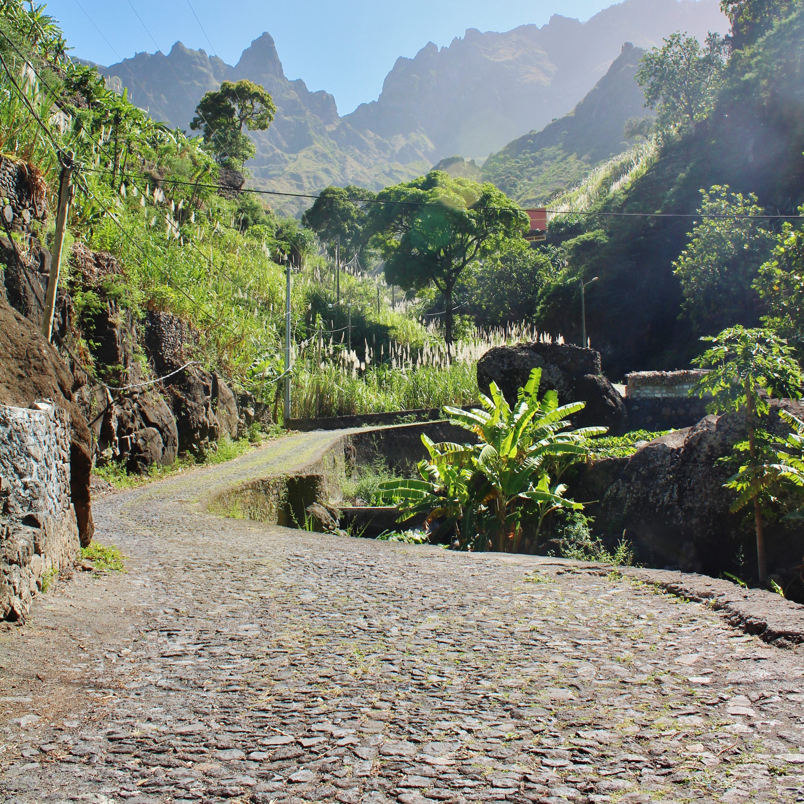 Day6 - SANTO ANTÃO ISLAND: MONTE TRIGO, AN EXCELLENT DISCOVERY