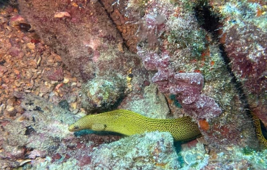 Sao Vicente: Discover Scuba Diving Pool + Sea São Vicente, Cape Verde