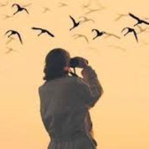 Boa Vista: Birdwatching in a natural environment - SodadeTour.com