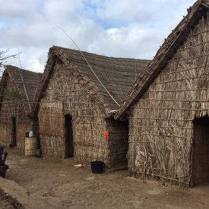 Santiago island: Santiago Island tour with tastings and Tarrafal Beach - SodadeTour.com