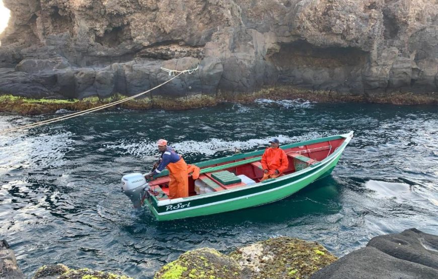 Palmeira Da Cruz EcoLodge