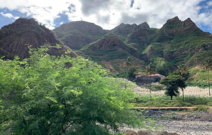 Palmeira Da Cruz EcoLodge