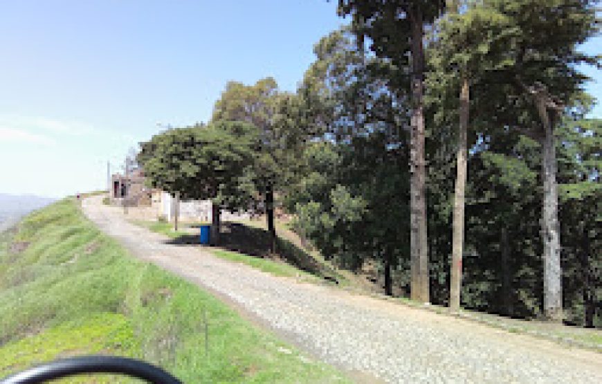 Casa Cogumelo Pico da Cruz